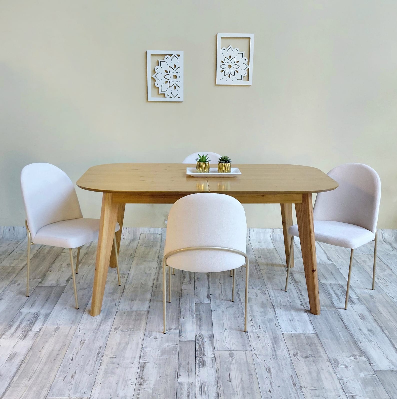 WhatsApp Image 2026-04-09 at 16.30.10